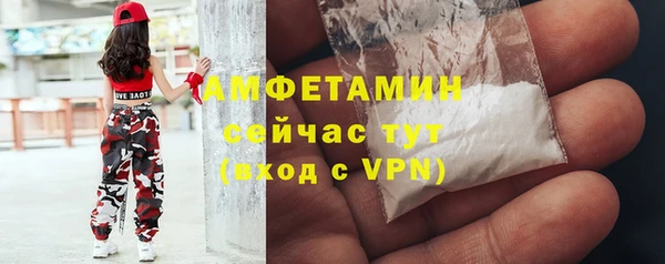 мдпв Мегион